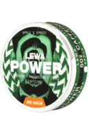 Lewa Power