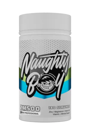 Naughty Boy ZM500 Professional