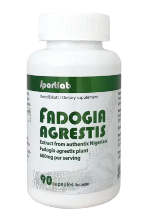 Fadogia Agrestis - 90 kapsler